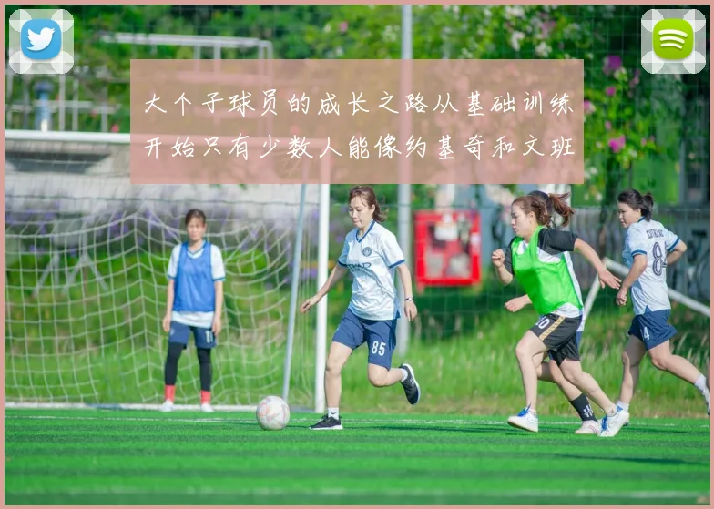 大个子球员的成长之路从基础训练开始只有少数人能像约基奇和文班那样成功