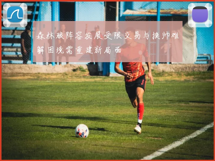 森林狼阵容发展受限交易与换帅难解困境需重建新局面