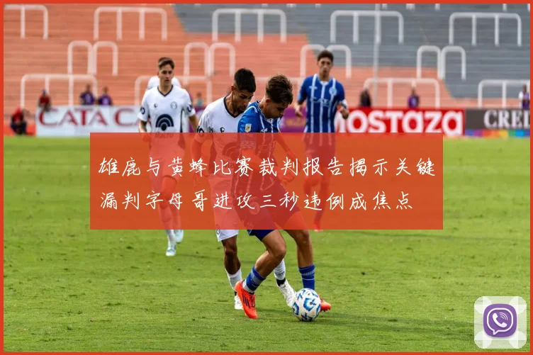 雄鹿与黄蜂比赛裁判报告揭示关键漏判字母哥进攻三秒违例成焦点